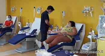 Sangue, crollano le donazioni a Catania - lasiciliaweb | Notizie di Sicilia