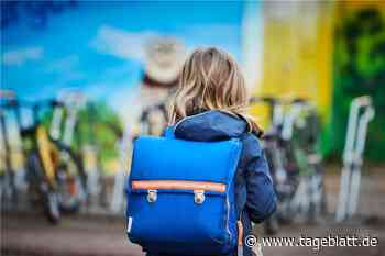 Schulen starten nach Ferien mit angekündigten Corona-Regeln - Landkreis Stade - Tageblatt-online