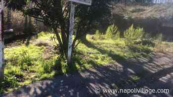 Tornano all’opera i volontari napoletani de La Via della Felicità (VIDEO) - Napoli Village - Quotidiano di informazioni Online