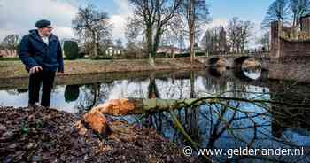 Slapeloze nachten door afgekloven bomen in kasteeltuin: 'Moeten de bever zien in te dammen' - De Gelderlander
