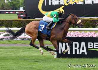 Royale figures one to catch in marathon feature - Daily Racing Form