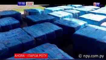 Itapúa Poty: Senad incauta más de 600 kilos de droga | Noticias Paraguay - NPY