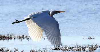 Air density crucial for aviation safety | John Lindsey - Santa Maria Times