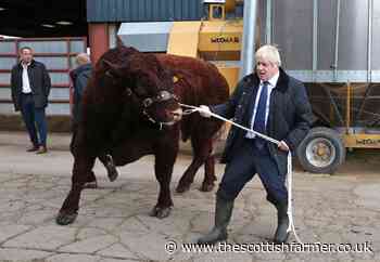 English farmers are changed from proud food producers to park keepers - The Scottish Farmer