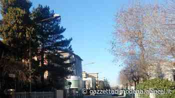 Carpi. Residenti minacciati dal ladro sul balcone «Zitti o vi accoltello» - La Gazzetta di Modena