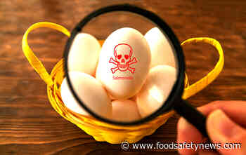 Chinese Salmonella outbreak linked to egg fried rice - Food Safety News