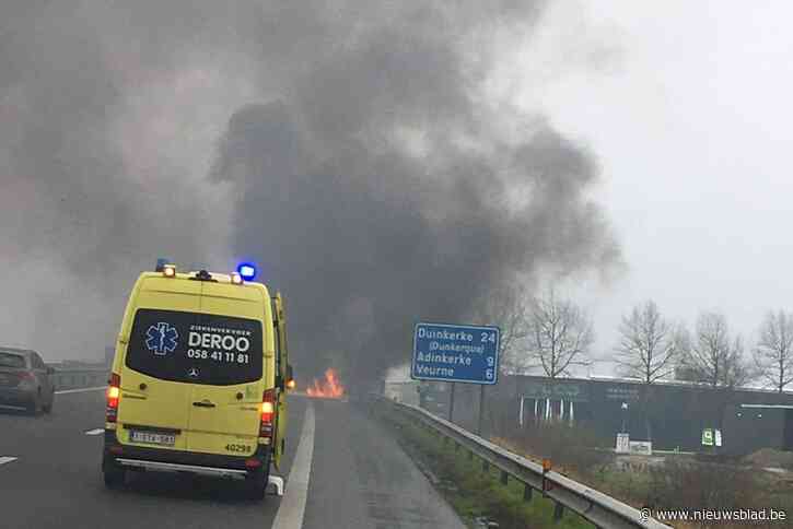 Wagen brandt uit langs autosnelweg, twee inzittenden en hondjes kunnen ontsnappen