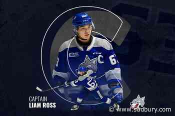 Liam Ross named the new captain for the Sudbury Wolves