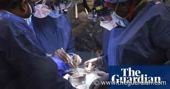 Maryland doctors transplant pig’s heart into human patient in medical first - The Guardian