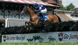 2021 Eclipse Awards: Baltimore Bucko - Daily Racing Form