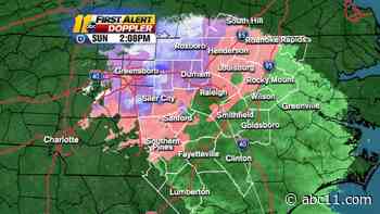 A Sunny Start to the Week