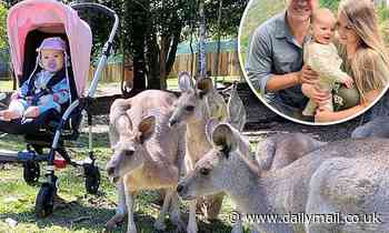 Bindi Irwin's daughter Grace, nine months, is surrounded by kangaroos at Australia Zoo