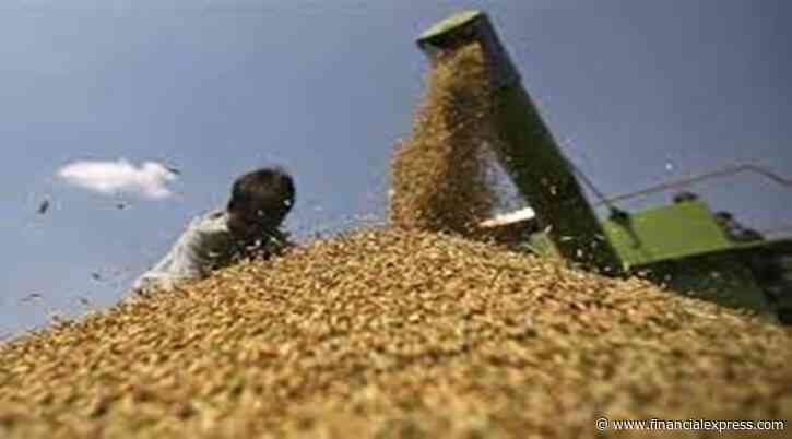 FCI’s food subsidy expenses likely to  decline next fiscal, if PMGKAY is not extended