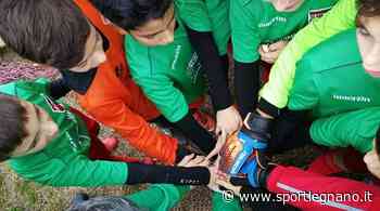 Return to play: tutto come prima. Si rischiano due mesi di fermo - SportLegnano.it - SportLegnano.it