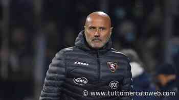 Salernitana, Colantuono sul futuro: "Finalmente c'è un presidente, mercato fermo" - TUTTO mercato WEB
