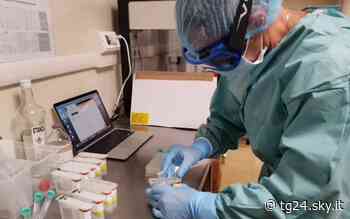 Covid: Cisl, rischio fermo produttivo per aumento contagi - Sky Tg24