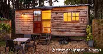 Spot in the Woods: New Forest boutique hotel reopens offering January escape to guests - Hampshire Live