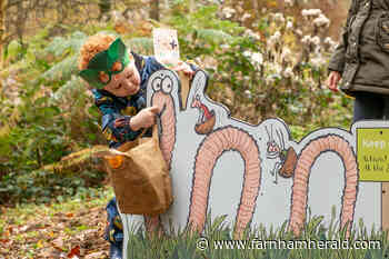 New Superworm family trail opens at Alice Holt Forest - Farnham Herald