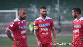 Bari e le 100 presenze: in quattro vedono il traguardo - BARI CALCIO