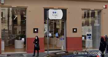 Bari, C&C acquisisce iConcept e sbarca in Europa: 11 store in Francia - Telebari