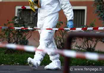 Bari, scheletro ritrovato nel canale: non appartiene ai Loconsole e Addante scomparsi nel 2006 e 2019 - Fanpage.it