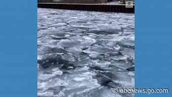 WATCH:  Ice hits shores of Lake Ontario in Toronto