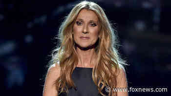 Celine Dion cancels North American tour over health issue