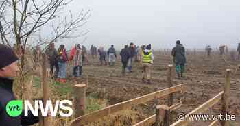Grote boomplantactie in Kortemark: het Edewallebos is 1,3 hectare groter met hulp van 100 natuurliefhebbers - VRT NWS