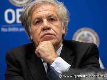 10 Reasons OAS Secretary General Luis Almagro Has to Go