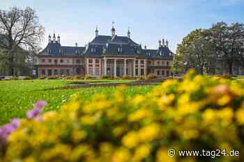 Kunst, Kultur und Sport: Drei Tipps für Euren Sonntag in Dresden - TAG24