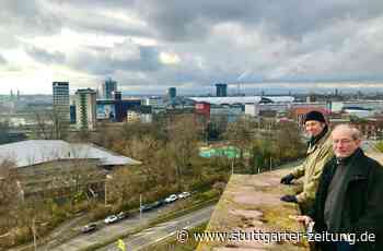 Friedrichspark in Mannheim - Kampf um ein erbärmliches Stück Grün - Stuttgarter Zeitung