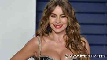 Take A Peek at Sofia Vergara’s Spot on The List of Highest-Paid Actresses - IWMBuzz
