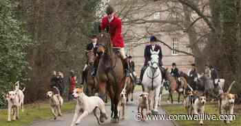 Hunt supporters criticise petition seeking ban while objectors say Cornwall Council report is 'flawed' - Cornwall Live