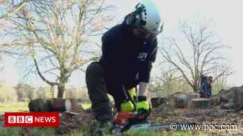 Free farming and woodland training in Devon and Cornwall - BBC News