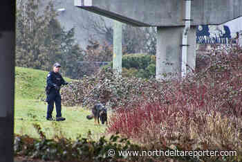 Stabbing in Pitt Meadows on Sunday morning – North Delta Reporter - North Delta Reporter