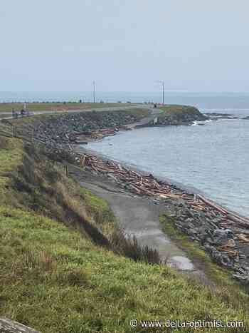 Vancouver Island communities feel tsunami effects of undersea volcano eruption near Tonga - Delta-Optimist