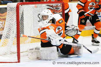 Trail Smoke Eaters make flurry of deals at deadline – Castlegar News - Castlegar News