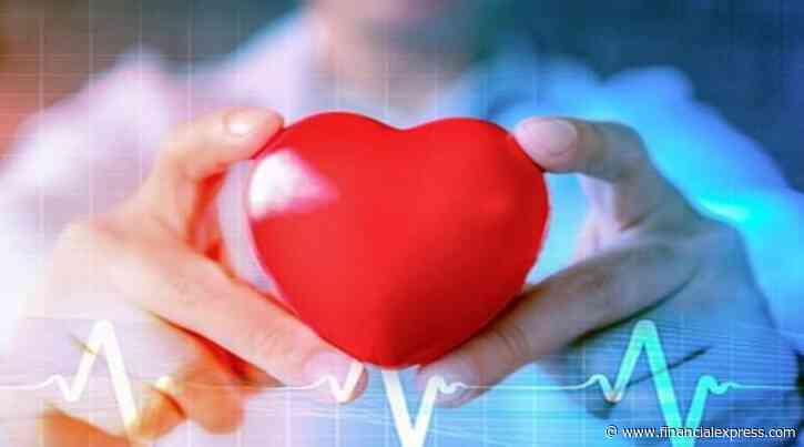 Improving diagnosis of Coronary Artery Disease: PCI optimization as the standard of elderly care