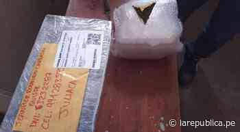 Puno: policías incautan droga que fue enviada por encomienda a Juliaca - La República Perú