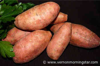 A Gardener's Diary: Sweet potatoes and yams have their differences – Vernon Morning Star - Vernon Morning Star