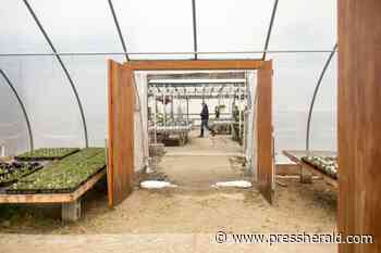 Maine Gardener: What could be ahead in the gardening world for 2022? - pressherald.com