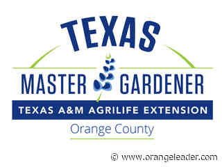Master Gardener: Spring is around the corner - Orange Leader - Orange Leader