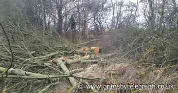Anger as wildlife-rich hedges cut back for housing - Grimsby Live