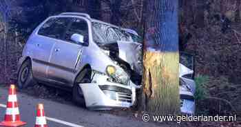 Twee gewonden nadat auto frontaal tegen boom rijdt bij Winterswijk - De Gelderlander