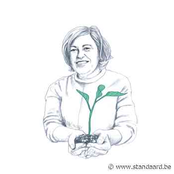 De rat uit de boom kijken - De Standaard