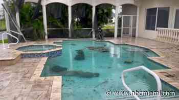 Homes Destroyed as Tornadoes Tear Through Lee, Charlotte Counties