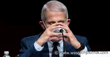 Fauci Will 'Definitely' Be Investigated if House Flips Republican in Midterm Elections: Jim Jordan