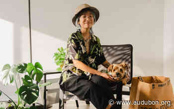 Audubon Spotlight: Bethany Chan, A Designer for Others | Audubon - National Audubon Society