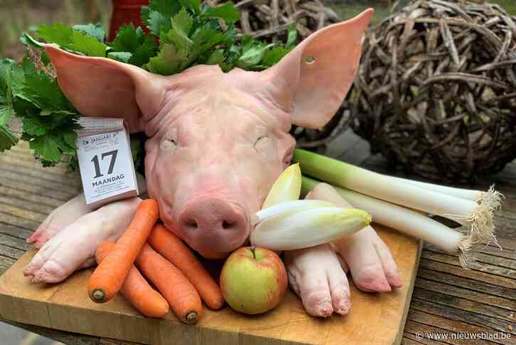 Sint Antoniusviering verdient erkenning als immaterieel erfgoed