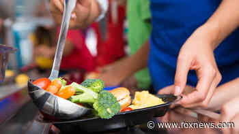 Should you raise your child as a vegan or a vegetarian? Nutritionists weigh in.